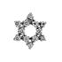 Picture of Star of David pendant