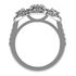Picture of Three stone halo shared prong set
