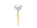 CR18802 (3).webp