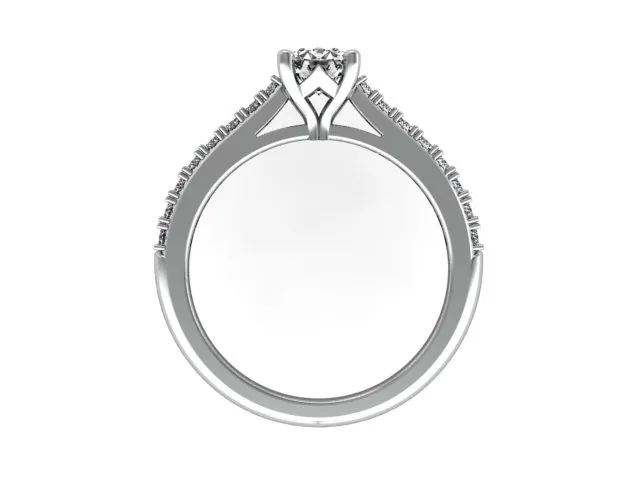 CR10891 front.webp
