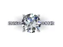 CR13726 (2).webp