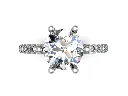 CR11884 (4).webp