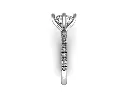 CR11884 (3).webp