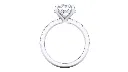CR19742 (3).webp