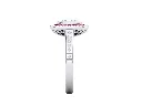 CR18779 (4).webp