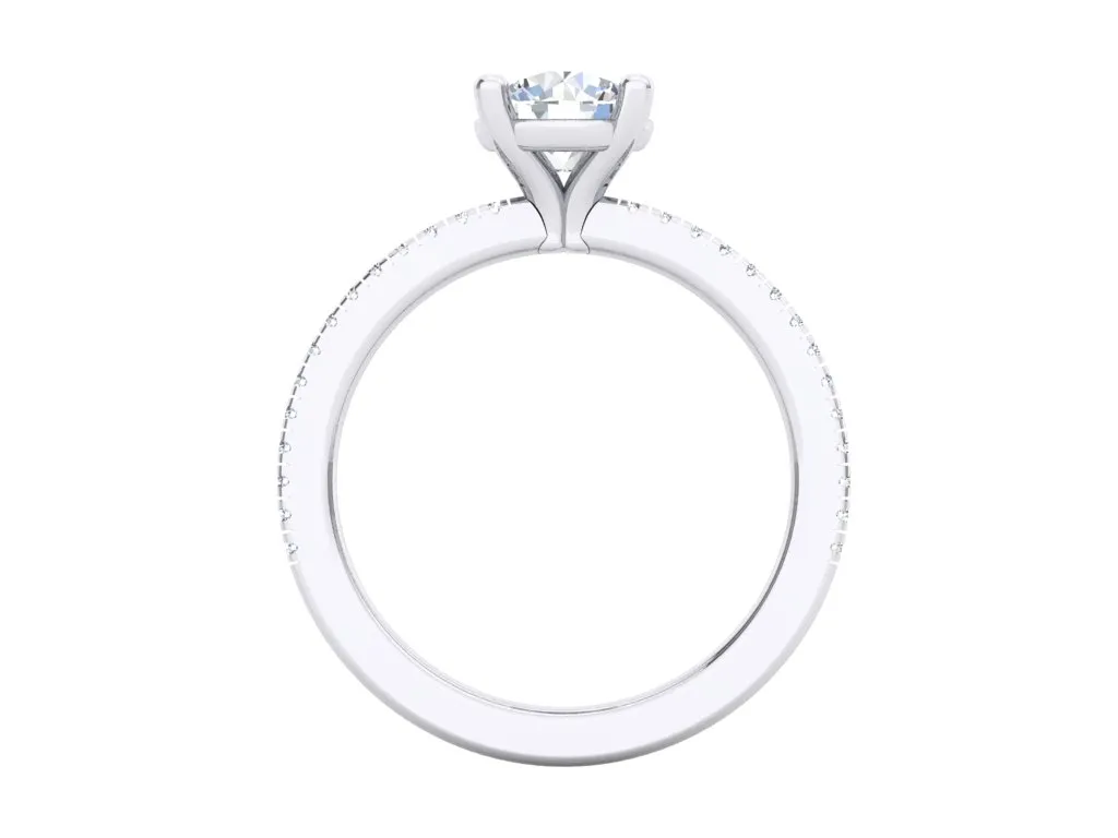 CR19910 14W (3).webp