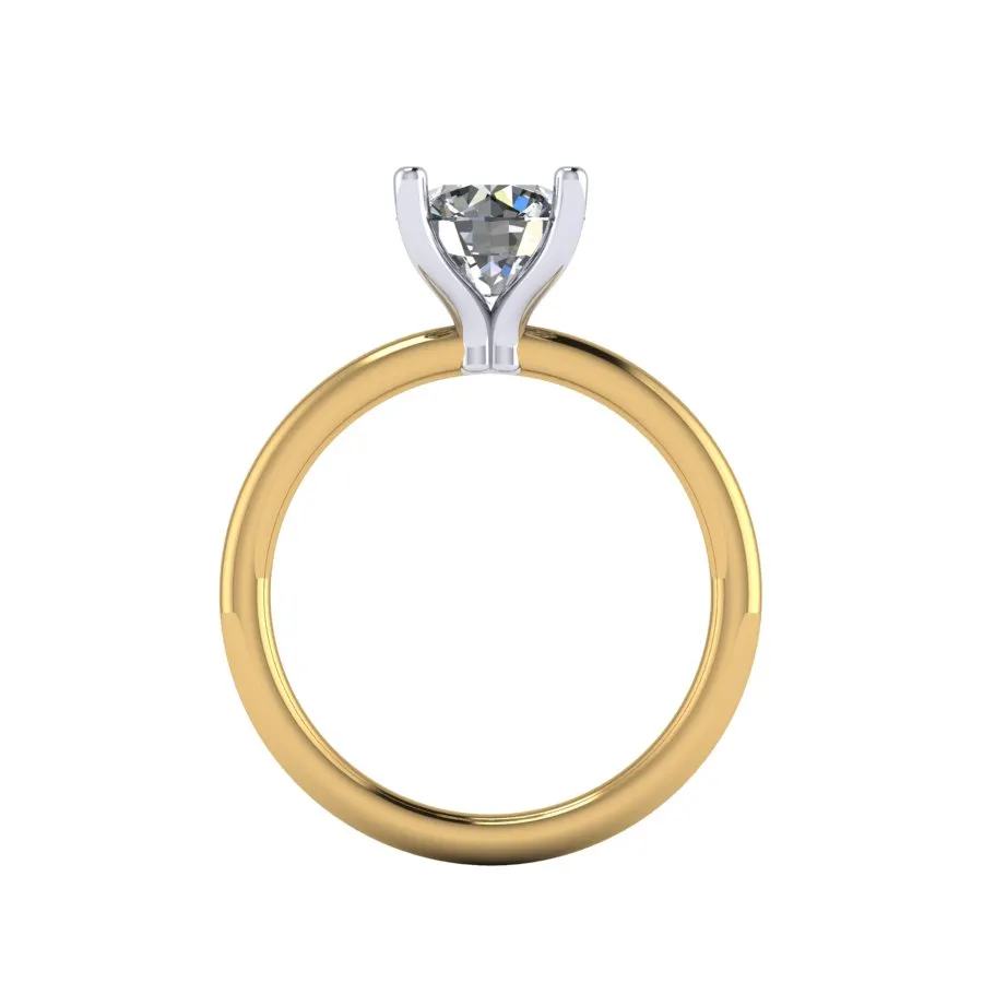 CR101953 front.webp