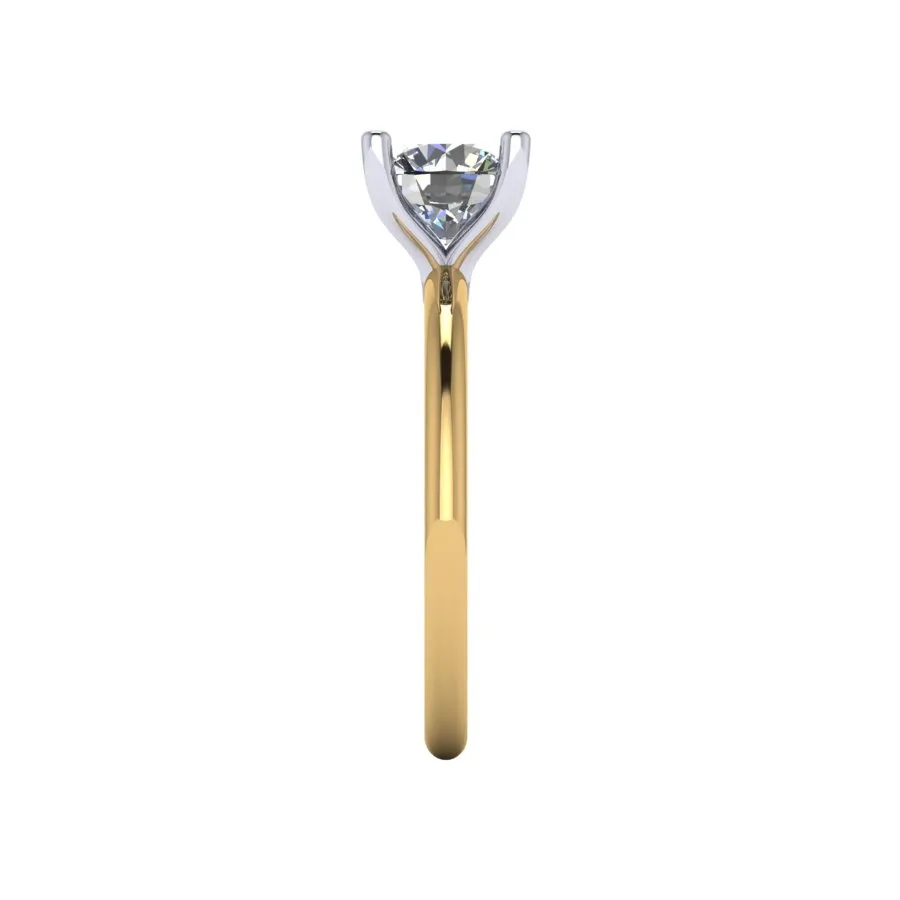 CR101952 side.webp