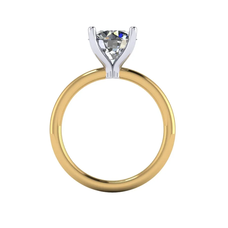 CR101955 front.webp
