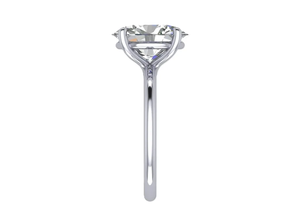 CR18163 (4).webp