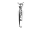 CR10075 side.webp