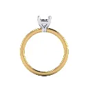 CR101968 front.webp