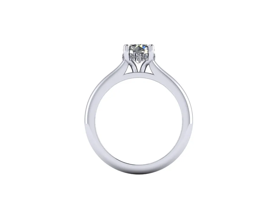 4 prong flush fit cathedral round hidden halo